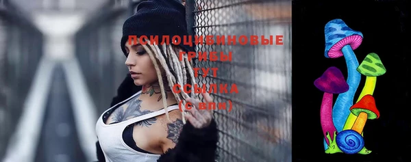ешки Абинск