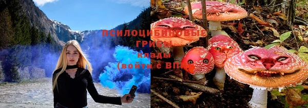 ешки Абинск