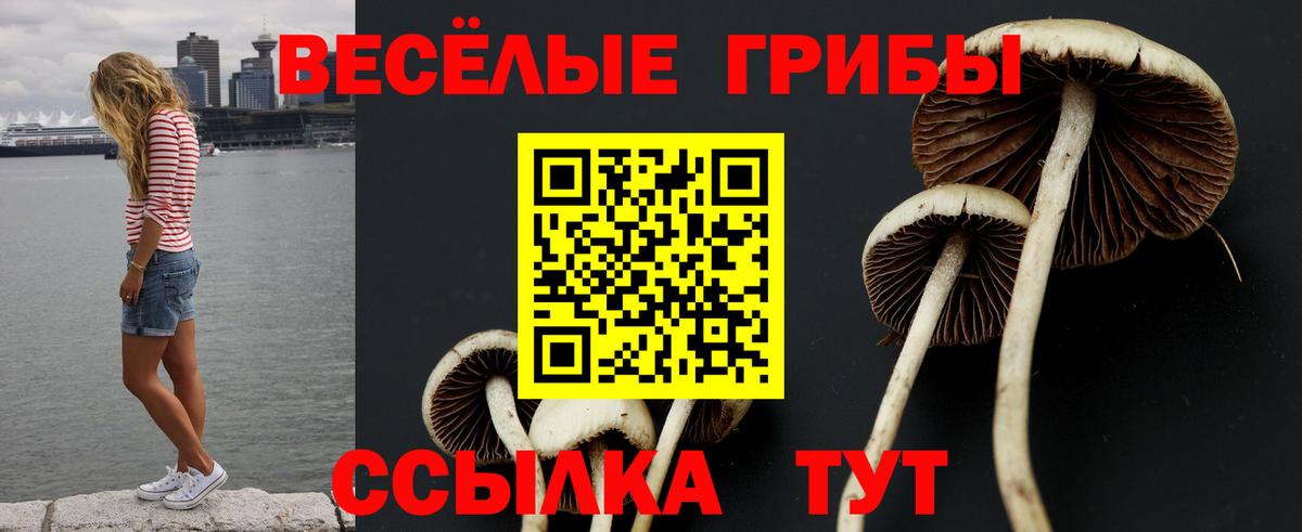 Североморск  Галлюциногенные грибы Magic Shrooms  Вход с VPN 