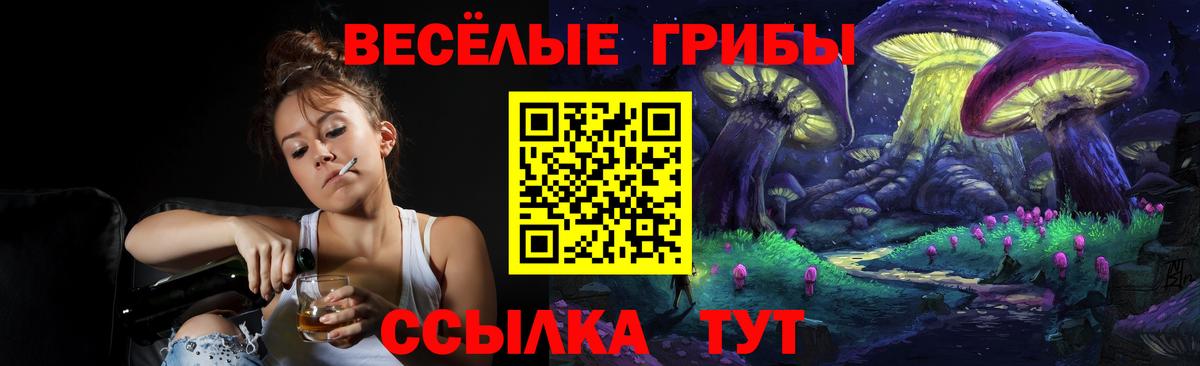 Псилоцибиновые грибы мухоморы Североморск
